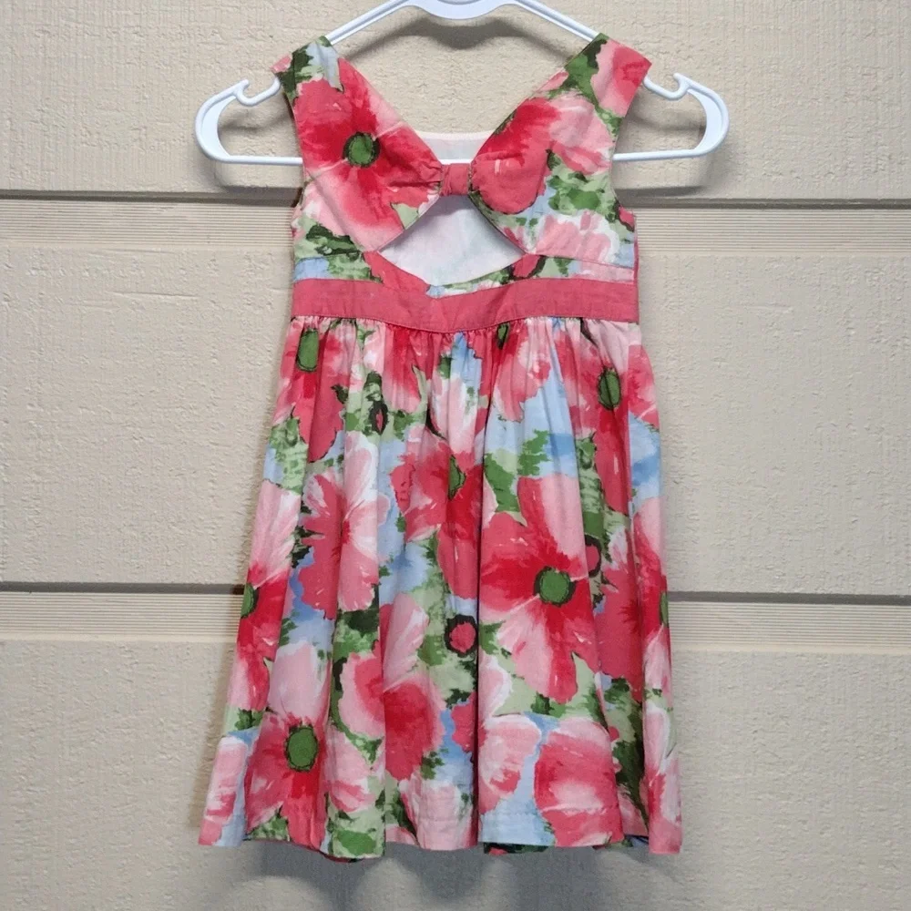 Gymboree Pink and Green Floral Kids Dress